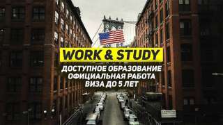 Работа и учёба в США