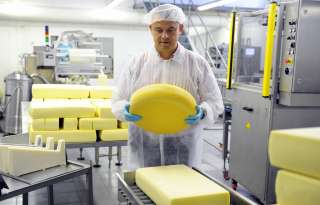 Работа в Швейцарии: Производство и Упаковка Сыра