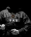 Охранные услуги от SAS-SECURITY